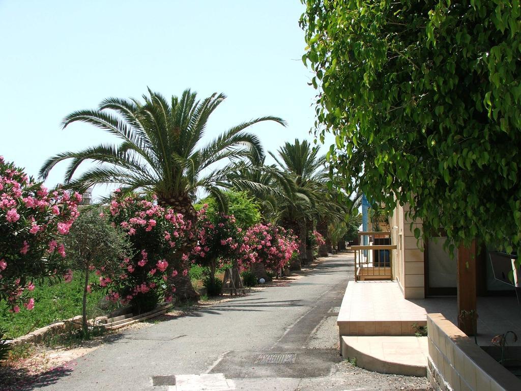 Dimma Seaside Houses Paphos Kültér fotó