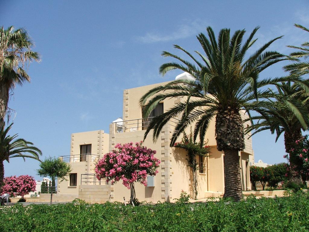 Dimma Seaside Houses Paphos Kültér fotó