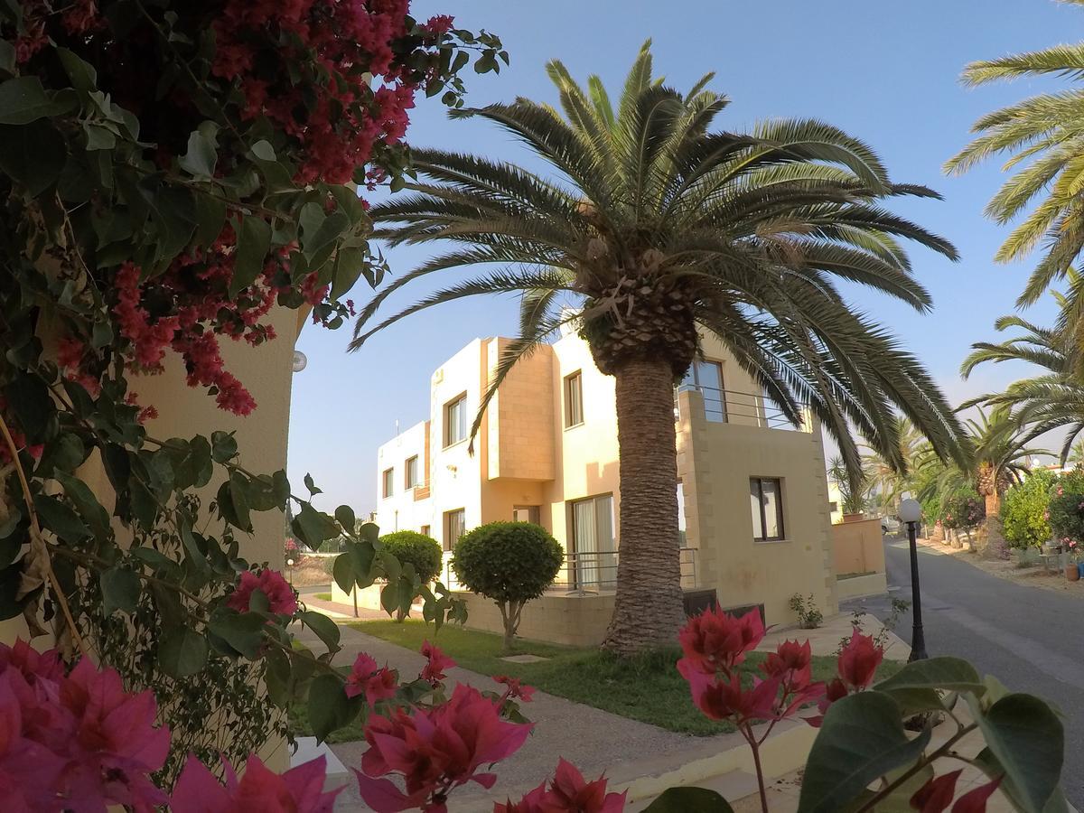 Dimma Seaside Houses Paphos Kültér fotó