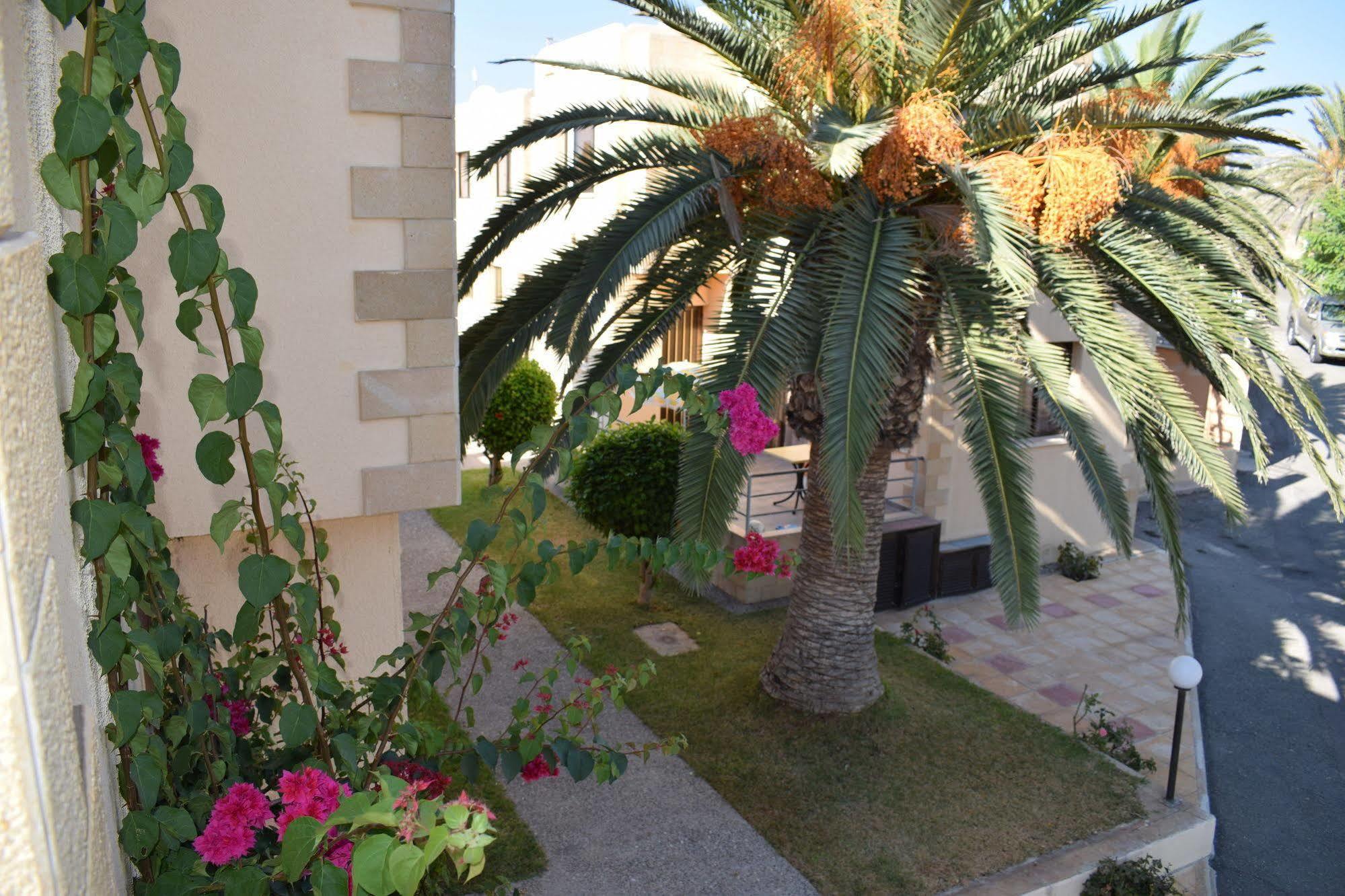Dimma Seaside Houses Paphos Kültér fotó