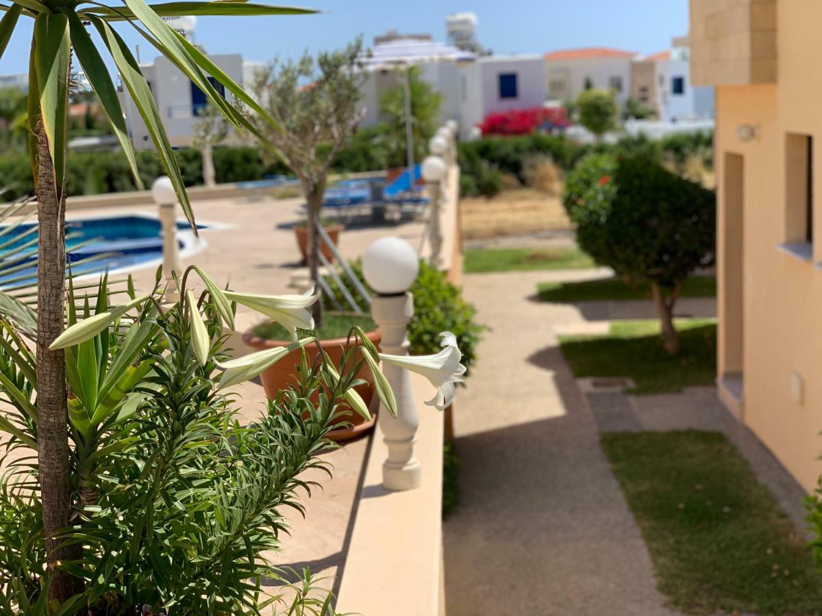 Dimma Seaside Houses Paphos Kültér fotó